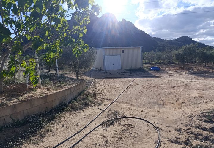 Masia a Sax, Alicante, Sax - € 63.000 | Ref: Panadero - foto 1